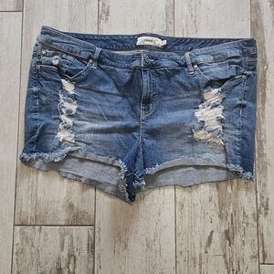 Torrid Distressed Denim Cut Off Women Shorts 26